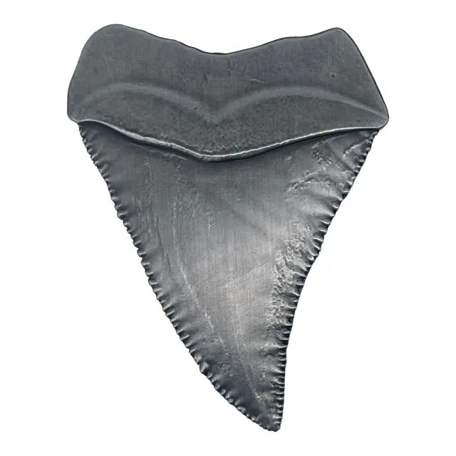 Fanattik Jaws 50th Anniversary Haizahn Medaillon limitiert